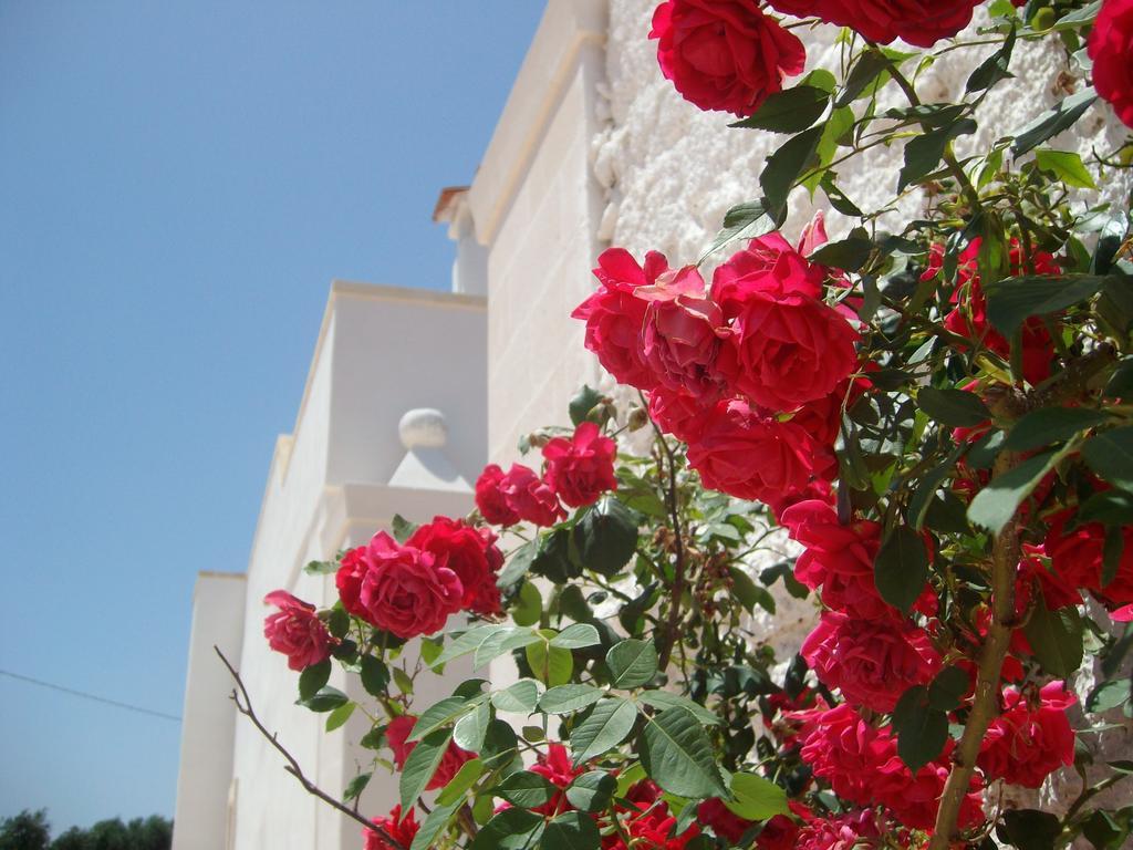 Masseria Nuova Vendégház San Marzano di San Giuseppe Kültér fotó