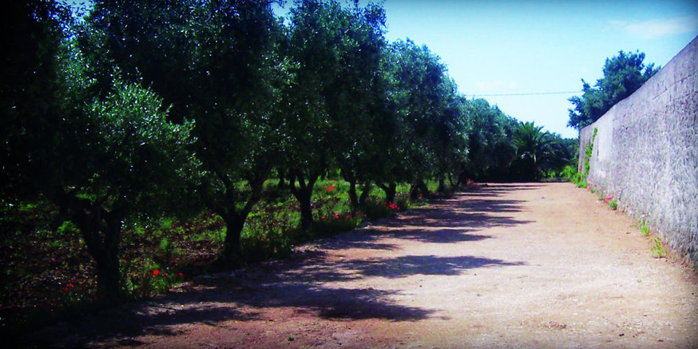 Masseria Nuova Francavilla Fontana Kültér fotó
